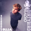 Dirtybird Radio 534 – BUJA